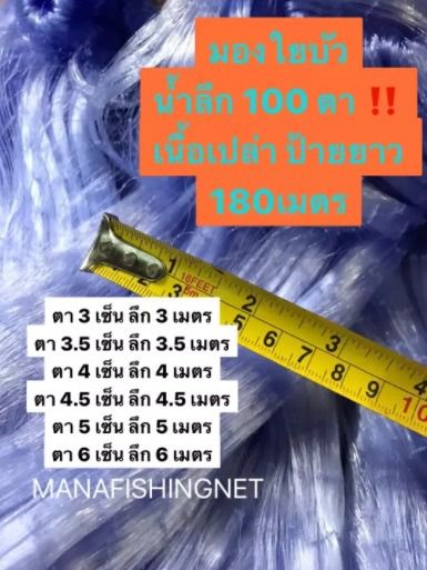 เนื้อตาข่าย  ตาข่ายดักปลา  มองดักปลา  ใยบัว‼️ รุ่นน้ำลึกสุด 100 ตา รูปที่ 7