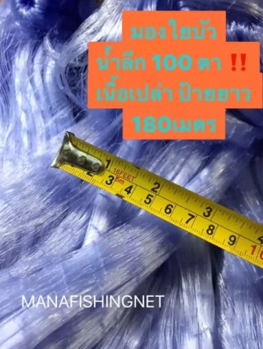 เนื้อตาข่าย  ตาข่ายดักปลา  มองดักปลา  ใยบัว‼️ รุ่นน้ำลึกสุด 100 ตา รูปที่ 5