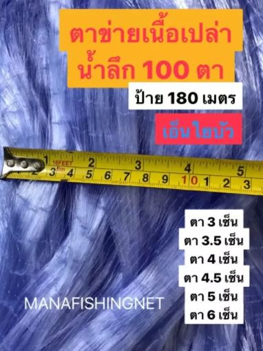เนื้อตาข่าย  ตาข่ายดักปลา  มองดักปลา  ใยบัว‼️ รุ่นน้ำลึกสุด 100 ตา รูปที่ 4