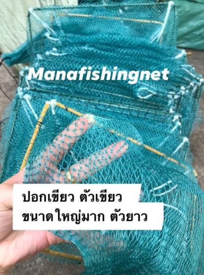 ไอ้โง่ดักกุ้ง  ดักกุ้ง ตัวใหญ่ ขอบสี่เหลี่ยม 30x45 เซ็น ยาว 8 เมตร ตาอวนถี่ 1.5 เซ็น  ไอ้โง่จีน  ลอบจีน  ลอบพับ รูปที่ 2