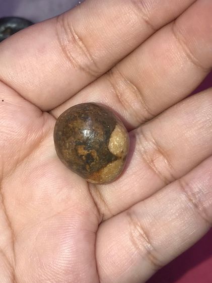 คตแมลงทับ ทรงเกือบกลม ที่หัวมีจุดขาว 2 จุด ขนาดประมาณ 2 ซม เนื้อแห้ง มันเงา สีน้ำตาลอมเขียว แข็งเป็นหิน เก่าจัด แท้ ดูง่าย หายาก สภาพสวย สมบ รูปที่ 2