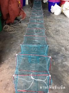 ลอบพับ ลอบดักกุ้ง ดักปลา ดักปู 📌🔻 ใหม่ล่าสุด 🤩 มีคลิปรีวิวได้ทั้งกุ้ง ทั้งปู รูปที่ 2