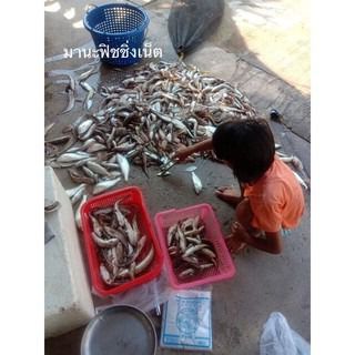 รับรองติดดีมาก 📌กุ้งปลาเข้า 💯  ที่ดักกุ้ง ไอ้โง่ดักปลา กรงดักปู อุปกรณ์จับปลา — วางขวางทางน้ำ รูปที่ 2
