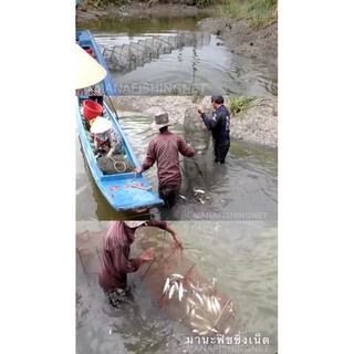 ที่ดักกุ้ง  ที่ดักปลา  กรงดักปู  ตาข่ายดักปลา  แหจับปลา  มุ้งดักกุ้ง  กระชังดักปลา  ลอบดักปู  Fish Trap  Prawn Trap รูปที่ 3