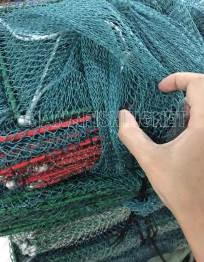 ที่ดักกุ้งก้ามกราม ดักกุ้งก้ามกราม กุ้งแม่น้ำ ตัวยาว 7 เมตร รูปที่ 6