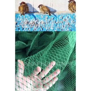 ตาข่ายกันนก  BIRD NET📌ตาถี่ เกรดเอ 🅰️ ขนาด 2x4 เมตร รูปที่ 7