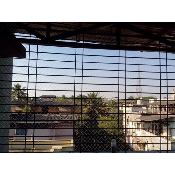 ตาข่ายกันนก  BIRD NET📌ตาถี่ เกรดเอ 🅰️ ขนาด 2x4 เมตร รูปที่ 5