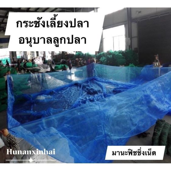 กระชังเลี้ยงปลา 🅰️หลังใหญ่พิเศษ 🅰️ขนาด 350 เซ็น x 540 เซ็น สูง 120 เซ็น รูปที่ 3