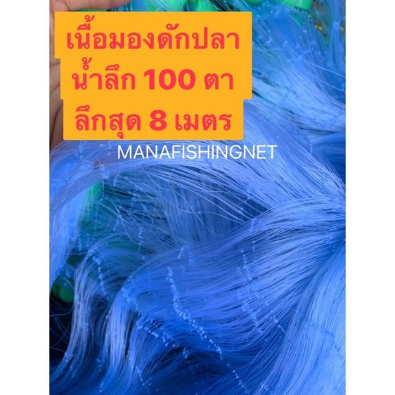 ตาข่ายเนื้อเปล่า น้ำลึก 100 ตา ลึกสุด 8 เมตร เนื้อมอง เนื้ออวน เนื้อตาข่าย รูปที่ 3