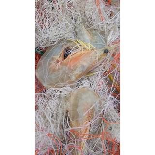 มองสามชั้น ด่างดักปลา มองดักปลา3ชั้น ตาข่ายดักปลา 3 ชั้น 🅰️ มีขนาดตาซ้อนกัน 3 ชั้นในปากเดียว รูปที่ 6