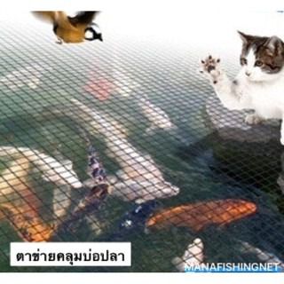 ตาข่ายคลุมบ่อปลา อ่างเลี้ยงปลา 🐠ในสวน ป้องกันนก ป้องกันใบไม้ล่วง 🎏ขนาด2x4เมตร 3x3เมตร ขนาดใหญ่ 6x7เมตร Fish Pond Net รูปที่ 7