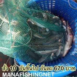 แหจับปลา ตาข่ายดักปลา ที่ดักกุ้ง ไอ้โง่สี่เหลี่ยม ตัวยาว 8 เมตร ตาถี่ 1.5 เซน มีทางเข้าซ้าย-ขวา 📌พับเก็บได้ รูปที่ 9