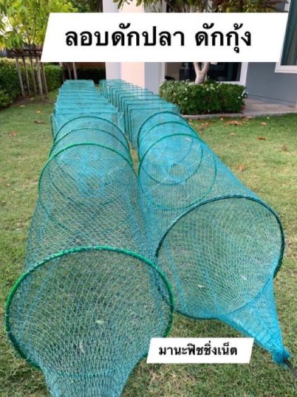 ไอ้โง่ไต้หวัน 🅰️ จับกุ้ง จับปลา 📌ตัวจัมโบ้ใหญ่สุด ยาว 8 เมตร รูปที่ 4