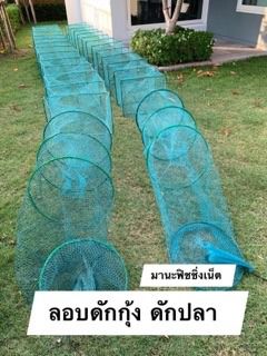 ไอ้โง่ไต้หวัน 🅰️ จับกุ้ง จับปลา 📌ตัวจัมโบ้ใหญ่สุด ยาว 8 เมตร รูปที่ 6