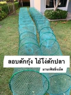 ไอ้โง่ไต้หวัน 🅰️ จับกุ้ง จับปลา 📌ตัวจัมโบ้ใหญ่สุด ยาว 8 เมตร รูปที่ 5