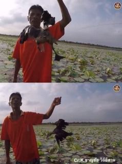 อวนคลุมบ่อกันนก อวนปิดปากบ่อ เลี้ยงปลา เลี้ยงกุ้ง เลี้ยงกบ ⭐️ รุ่นเคลือบสารพิเศษกันแดด รูปที่ 3