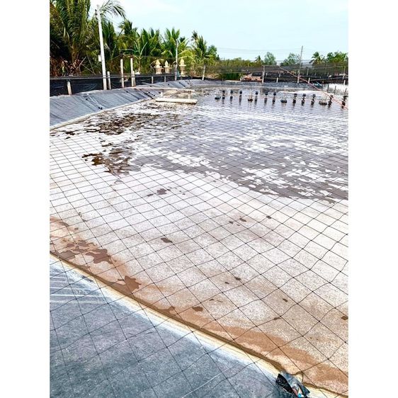 ตาข่ายกันนกคลุมบ่อเลี้ยงปลา ขนาด 4x100 เมตร รูปที่ 6