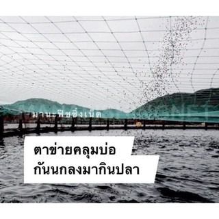 ตาข่ายกันนกคลุมบ่อเลี้ยงปลา ขนาด 4x100 เมตร รูปที่ 7