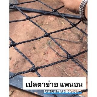 ตาข่ายทำแพนอน สำหรับโครง 1.5x2.5 เมตร พร้อมเชือกยึดโครง (อุปกรณ์ครบชุดพร้อมติดตั้ง) รูปที่ 5