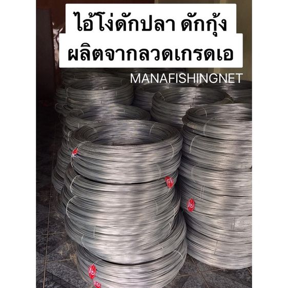 ไอ้โง่ดักปลา 30 ห่วง 10 เมตร ลวดหนา มีงาเข้าทุกช่อง ++รับรองติดดีมาก รูปที่ 5