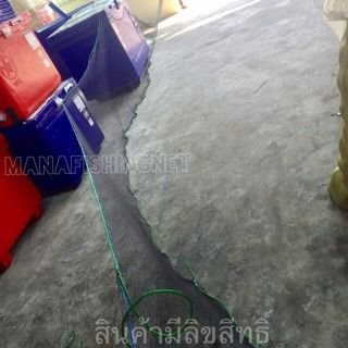 ตาข่าย-กันงู. กันนกกระจอก พร้อมเชือกบน+ตัวถ่วงล่าง รูปที่ 2