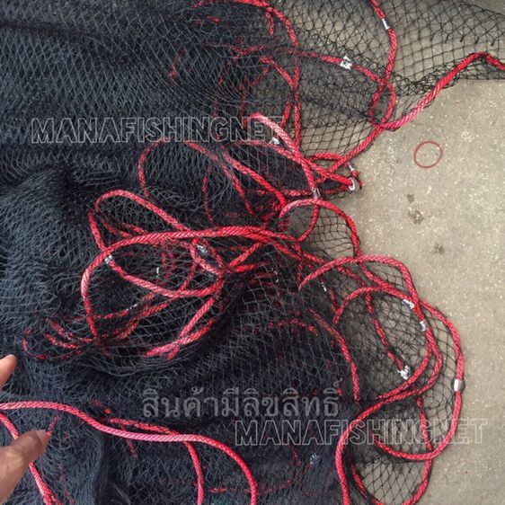 ตาข่าย-กันงู. กันนกกระจอก พร้อมเชือกบน+ตัวถ่วงล่าง รูปที่ 6