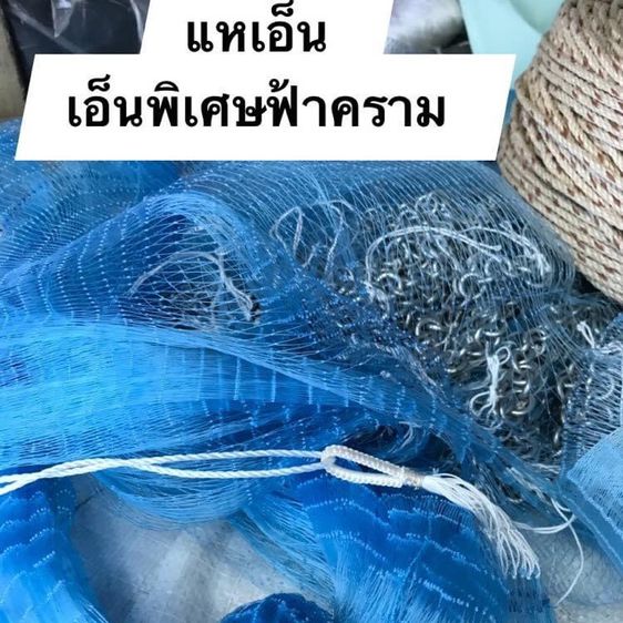 แหปลากระบอก ตาถี่ 3 เซน วงกว้าง 8 เมตร ทอดแห จับปลาริมชายหาด 🐟🏖🏝⛱ รูปที่ 3