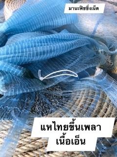แหปลากระบอก ตาถี่ 3 เซน วงกว้าง 8 เมตร ทอดแห จับปลาริมชายหาด 🐟🏖🏝⛱ รูปที่ 4
