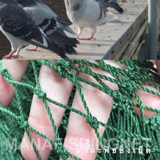 ตาข่ายกันนกพิราบ  🅰️ UV Protection ขนาด 3x30 เมตร รูปที่ 4