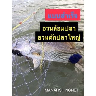อวนกระพง ปลาชะโด ปลาใหญ่ ‼️แบบสำเร็จ 📌มีตา 3.5 นิ้ว ตา 4 นิ้ว  ตา 5 นิ้ว ให้เลือก รูปที่ 5