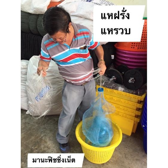 แหชักรวบ แหทอดปลาหมึก แหตะกั่ว 📌ตะกั่วหนัก รูปที่ 7