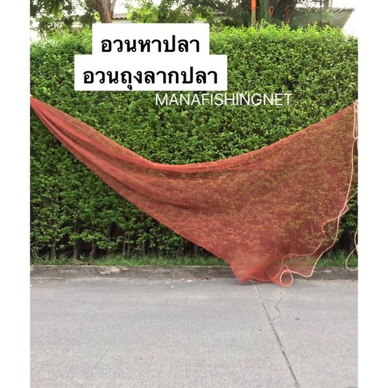 หางอวน อวนถุง 📌ปากใหญ่ อวนสวมปากท่อ ดักปลา จับปลา อวนแดง ตาถี่ 2 เซ็น📌เนื้อถุงยาว 7 เมตร ปากยืดได้กว้าง 3 เมตร รูปที่ 5