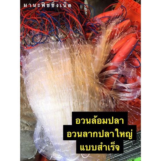 อวนล้อมปลา อวนลากปลา มองดักปลาใหญ่ 📌แบบสำเร็จ ติดทุ่น 7 นิ้ว🔺ตา 3.5 นิ้ว (ตา 9 เซ็น) กางได้ยาวประมาณ 25 เมตร รูปที่ 8