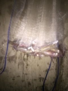 แหทอดหมึก ⭐️💯 งานแท้— ตะกั่วกานา 📌 มีรีวิวจากลูกค้า รูปที่ 7