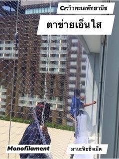 ตาข่ายเอ็นใส  Monofilament Net ตาข่ายกันนกริมระเบียง หน้าตา คอนโด อาคาร สำนักงาน