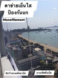 ตาข่ายเอ็นใส  Monofilament Net ตาข่ายกันนกริมระเบียง หน้าตา คอนโด อาคาร สำนักงาน รูปที่ 4