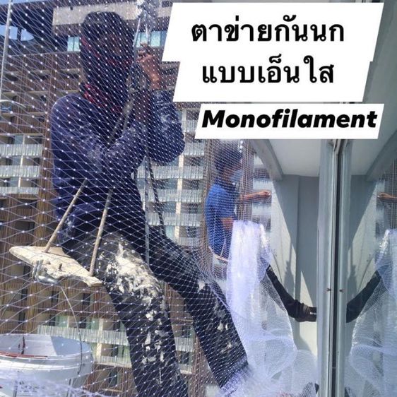 ตาข่ายเอ็นใส  Monofilament Net ตาข่ายกันนกริมระเบียง หน้าตา คอนโด อาคาร สำนักงาน รูปที่ 3