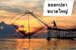 สะดุ้งยกปลา ยอยกปลา 🅰️ ขนาดใหญ่ 3 วา 2