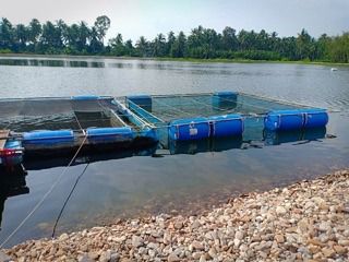 กระชัง กระชังเลี้ยงปลา กระชังขังปลา 🅰️ รุ่นหนาพิเศษ รูปที่ 2