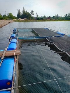 กระชัง กระชังเลี้ยงปลา กระชังขังปลา 🅰️ รุ่นหนาพิเศษ รูปที่ 5