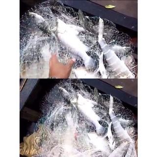 📌แบบสำเร็จ ติดทุ่น 7 นิ้วและตะกั่วถ่วง🔺ตา 4 นิ้ว (10 เซ็น) เอ็น 80 กางได้ยาวประมาณ 45 เมตร ตาข่ายดักปลา อวนล้อมปลา รูปที่ 3