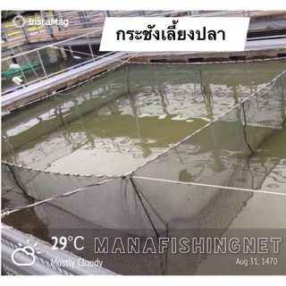 กระชัง 🅰️ ขนาด 4x4 สูง 1.8 เมตร 📌เนื้ออวนดำหนาพิเศษ. ตาถี่ รูปที่ 3