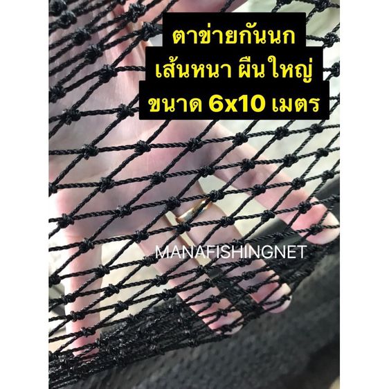 Super Bird Net ตาข่ายกันนก 🅰️ รุ่นเส้นหนาพิเศษ ผืนใหญ่ 6x10 เมตร ตาข่ายกันนก คลุมหลังคา ระเบียง ตึก อาคาร คลุมบ่อ รูปที่ 5