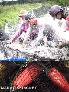 อวนลาก จับปลา กุ้ง ในบ่อเลี้ยง 🅰️ สำเร็จพร้อมใช้ลากจับปลา จับกุ้ง อวนลาก พร้อมเชือก ทุ่นลอยใหญ่ ตัวถ่วงล่าง รูปที่ 3