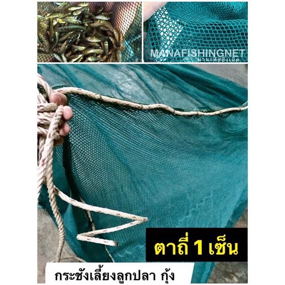 กระชังเลี้ยงปลา ลูกปลา กุ้ง กระชังอวนตาถี่ 1 เซ็น 🅰️ขนาด 3x6 สูง 1.8 เมตร รูปที่ 6