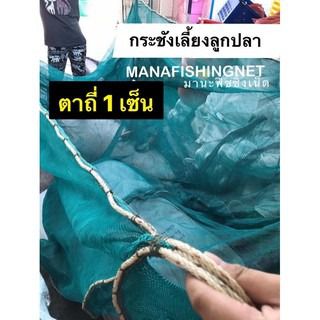 กระชัง ตาถี่ 1 เซ็น 📌ขนาด 3x6 เมตร ลึก 1.8 เมตร 🅰️ แบบสำเร็จพร้อมกาง เนื้ออวนปั๊มเขียว 📌ไม่มีปม รูปที่ 3