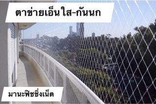 ตาข่ายกันนก 🅰️ รุ่นเอ็นใส📌กว้าง 10 เมตรxยาว 40 เมตร รูปที่ 3
