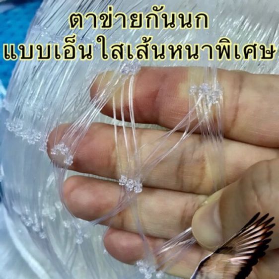ตาข่ายกันนก 🅰️ รุ่นเอ็นใส📌กว้าง 10 เมตรxยาว 40 เมตร รูปที่ 6