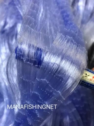 ข่ายใยบัวรุมหู 200 เมตร รูปที่ 6