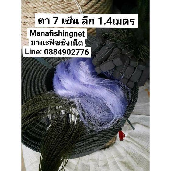 มองดักปลาทุกชนิด สำเร็จพร้อมใช้งาน กางจริงได้ยาวประมาณ 25 เมตร รูปที่ 9